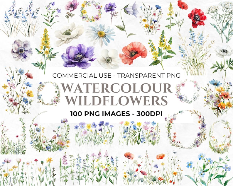 May include: A collection of 100 watercolor wildflower illustrations. The images are in PNG format and are 300 DPI. The flowers are in various colors, including red, blue, yellow, and white. The flowers are arranged in a variety of ways, including wreaths, bouquets, and individual flowers.