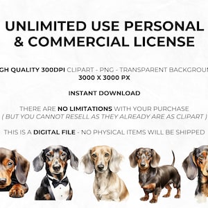 May include: Five watercolor illustrations of Dachshunds in various poses. The Dachshunds are brown and black with tan markings. The illustrations are on a white background.  UNLIMITED USE PERSONAL & COMMERCIAL LICENSE. HIGH QUALITY 300DPI CLIPART - PNG - TRANSPARENT BACKGROUND 3000 X 3000 PX INSTANT DOWNLOAD THERE ARE NO LIMITATIONS WITH YOUR PURCHASE (BUT YOU CANNOT RESELL AS THEY ALREADY ARE AS CLIPART) THIS IS A DIGITAL FILE - NO PHYSICAL ITEMS WILL BE SHIPPED