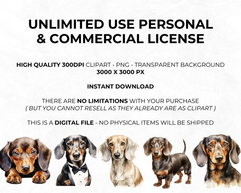 May include: Five watercolor illustrations of Dachshunds in various poses. The Dachshunds are brown and black with tan markings. The illustrations are on a white background.  UNLIMITED USE PERSONAL & COMMERCIAL LICENSE. HIGH QUALITY 300DPI CLIPART - PNG - TRANSPARENT BACKGROUND 3000 X 3000 PX INSTANT DOWNLOAD THERE ARE NO LIMITATIONS WITH YOUR PURCHASE (BUT YOU CANNOT RESELL AS THEY ALREADY ARE AS CLIPART) THIS IS A DIGITAL FILE - NO PHYSICAL ITEMS WILL BE SHIPPED
