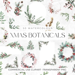 50 cliparts botaniques de Noël aquarelle, PNG hiver, pommes de pin, branches, botaniques d'hiver, baies, houx, cadres de Noël, usage Commercial