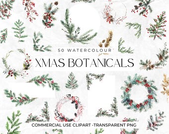50 Watercolour Christmas Botanical Clipart, Winter PNG, Pine Cones, Branches, Winter Botanicals, Berries, Holly, Xmas Frames, Commercial Use