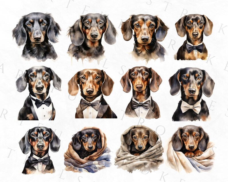 May include: A digital painting of ten dachshund dogs in various poses. Some are wearing bow ties and some are wrapped in blankets. The dogs are all painted in a watercolor style.