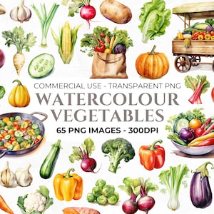 65 Clipart di verdure ad acquerello, Clipart di verdure, PNG di cibo, Clipart di menu, Clipart di ricette PNG, Pomodoro, Peperoni, Diario spazzatura PNG, Uso commerciale