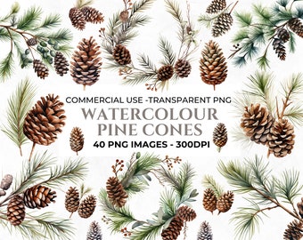 40 Watercolour Pine Cones Clipart, Christmas Clipart Bundle, Winter PNG, Pine Cone Branches PNG, Winter Botanicals, Commercial Use