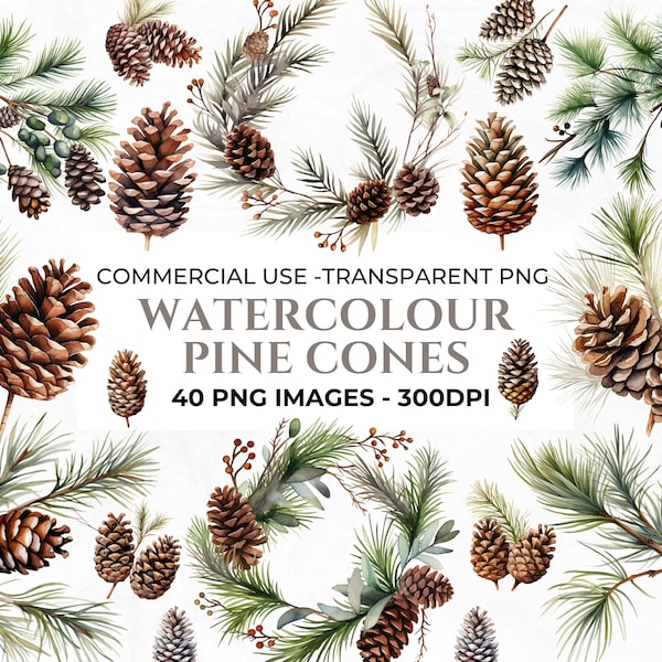 40 aquarel Pine Cones Clipart, Kerst Clipart Bundel, Winter PNG, Pine Cone Takken PNG, Winter Botanicals, Commercieel Gebruik