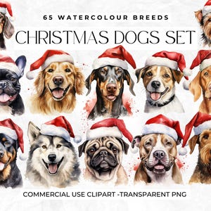 Aquarel honden in kerstmutsen, hondenrassen clipart, kersthonden, miniatuur teckel, Franse bulldog, hond clipart, hond png, commercieel