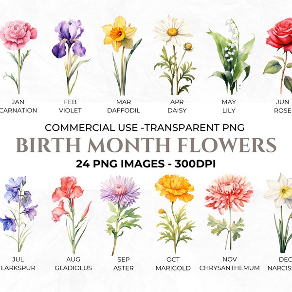 24 Watercolour Birth Month Flowers Clipart, Birthday Clipart, Month Floral Illustration, Journal PNG, Commercial Use. Instant Download