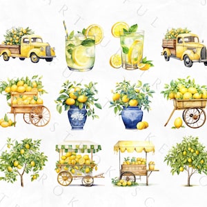 Puede incluir: Ilustraci&oacute;n de acuarela de limones, limonada y limoneros. Hay dos camiones amarillos con cajas de limones, dos carros con limones, dos puestos de limonada y dos jarrones con limones. La ilustraci&oacute;n est&aacute; sobre un fondo blanco.
