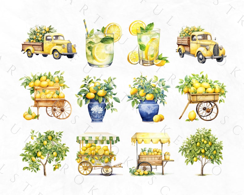 Puede incluir: Ilustraci&oacute;n de acuarela de limones, limonada y limoneros. Hay dos camiones amarillos con cajas de limones, dos carros con limones, dos puestos de limonada y dos jarrones con limones. La ilustraci&oacute;n est&aacute; sobre un fondo blanco.
