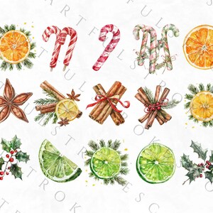 May include: Watercolor illustrations of various Christmas and winter holiday elements, including candy canes, cinnamon sticks, star anise, oranges, limes, and holly.