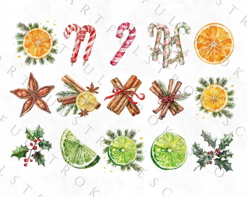 May include: Watercolor illustrations of various Christmas and winter holiday elements, including candy canes, cinnamon sticks, star anise, oranges, limes, and holly.