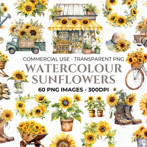 60 Aquarell Sonnenblume Clipart, Aquarell Clipart, Blume PNG, Herbst Fett Clipart, Sonnenblume Hochzeit Clipart, Kommerzielle Nutzung Clipart
