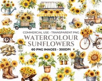 60 Watercolour Sunflower Clipart, Watercolour Clipart, Flower PNG, Autumn Fat Clipart, Sunflower Wedding Clipart, Commercial Use Clipart