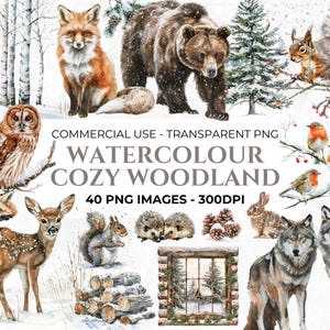 Clipart acquerello invernale del bosco, animali della foresta, PNG di Natale, rami PNG, alberi di pino innevati, grafica, grafica natalizia, uso commerciale