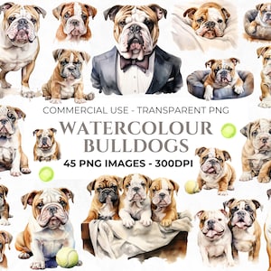 45 Aquarell Bulldogge PNG Clipart, Aquarell Welpen Illustration, Bulldogge Kunst, Aquarell Hund Bundle, kommerzielle Nutzung, Sofort Download