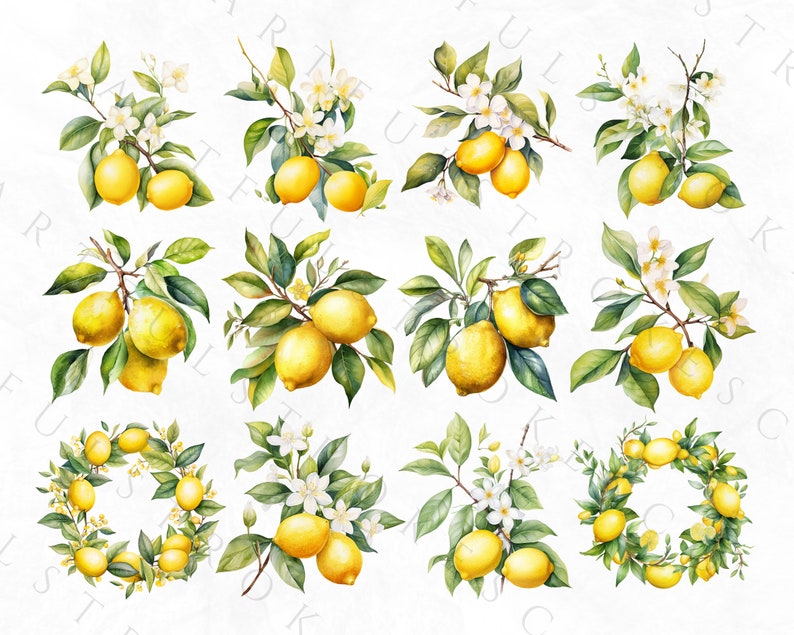 Puede incluir: Ilustraci&oacute;n acuarela de limones y flores de limonero. La ilustraci&oacute;n presenta una variedad de arreglos, incluyendo ramas con limones y flores, coronas de limones y flores, y limones y flores individuales.