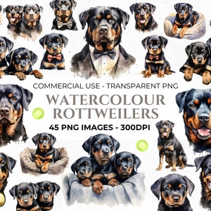 45 Watercolour Rottweiler Clipart PNG, Watercolour Puppy Illustration, Rottweiler Art, Watercolour Dog Bundle, Pet Portrait, Commercial Use