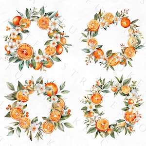 K&ouml;nnte beinhalten: Vier Aquarellkr&auml;nze mit Orangenscheiben, gr&uuml;nen Bl&auml;ttern und wei&szlig;en Bl&uuml;ten. Die Kr&auml;nze sind quadratisch auf wei&szlig;em Hintergrund angeordnet.
