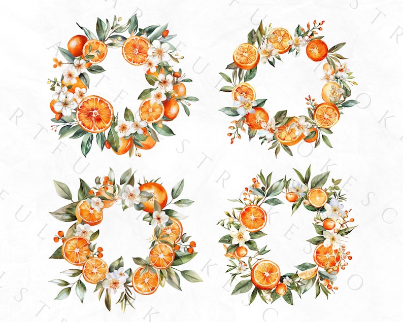 K&ouml;nnte beinhalten: Vier Aquarellkr&auml;nze mit Orangenscheiben, gr&uuml;nen Bl&auml;ttern und wei&szlig;en Bl&uuml;ten. Die Kr&auml;nze sind quadratisch auf wei&szlig;em Hintergrund angeordnet.