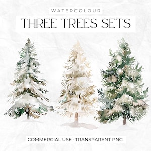 Aquarell Weihnachtsbäume Clipart, Kiefer Clipart, PNG Bündel Weihnachten, Kiefer, Gemütliche Weihnachten, Weihnachten PNG, Kommerzielle Clipart