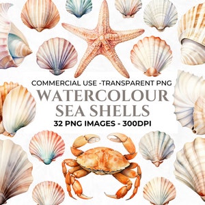 Imágenes prediseñadas de conchas marinas en acuarela, imágenes prediseñadas de playa, imágenes prediseñadas de mar, imágenes prediseñadas de boda de destino, imágenes prediseñadas de playa en acuarela, orilla del mar, uso comercial