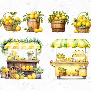 Clipart de limón en acuarela, clipart de fruta, paquete PNG de limón picante, corona de limón en acuarela, azulejo mediterráneo, italiano, uso comercial imagen 8