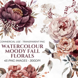 Pacote de clipart de flores roxas em aquarela, clipart de flores de outono, guirlanda floral, flores rústicas de outono, PNGs transparentes, botânico de casamento