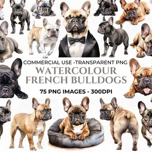 75 Aquarell Französische Bulldogge PNG Clipart, Aquarell Welpen Illustration, Französische Bulldogge Kunst, Aquarell Hund Bundle, kommerzielle Nutzung,