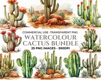 May include: A watercolor illustration set of 25 different cactus plants. The cacti are depicted in various shapes and sizes, with some featuring vibrant pink flowers. The illustrations are set against a desert background with rocks and sand.