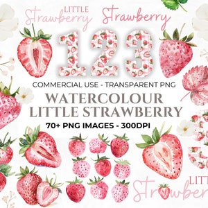 70+ Clipart de morango em aquarela, Clipart de frutas, Gingham, Morangos PNG, Morango pequeno, Clipart de chá de bebê, Primeiro aniversário de frutas vermelhas