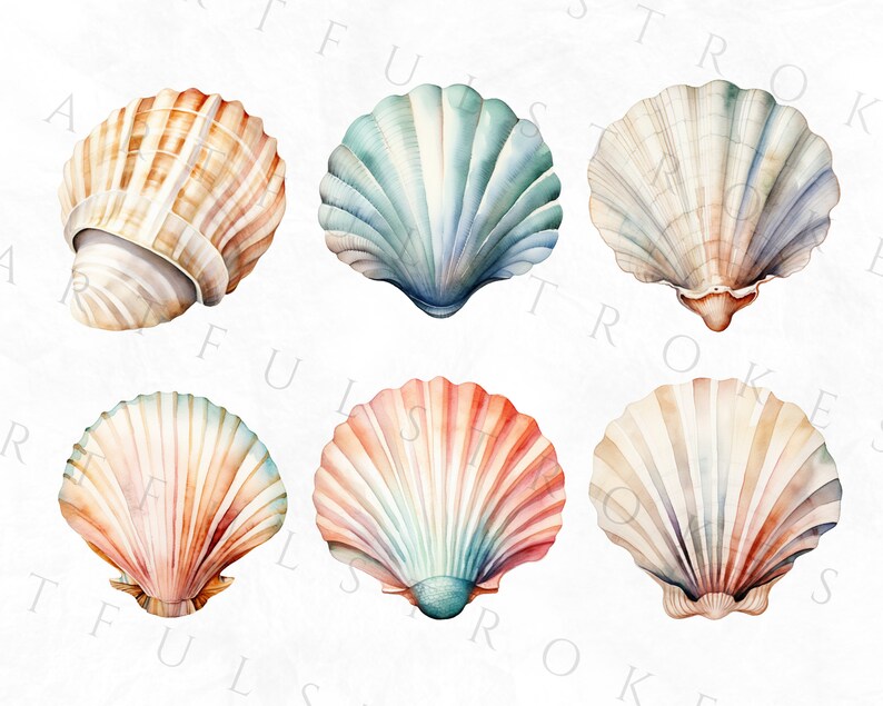 Watercolour Sea Shells Clipart, Beach PNG, Sea Clipart, Destination ...