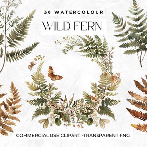 30 cliparts aquarelle feuille de fougère, prairie, papillons, clipart printemps, clipart botanique mariage, prairie, fleurs, fleurs, verdure PNG