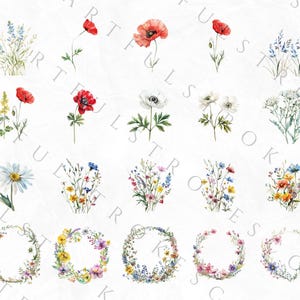 May include: A set of 20 watercolor illustrations featuring various floral arrangements. The illustrations include single flowers, bouquets, and wreaths. The flowers are depicted in shades of red, white, blue, and yellow.