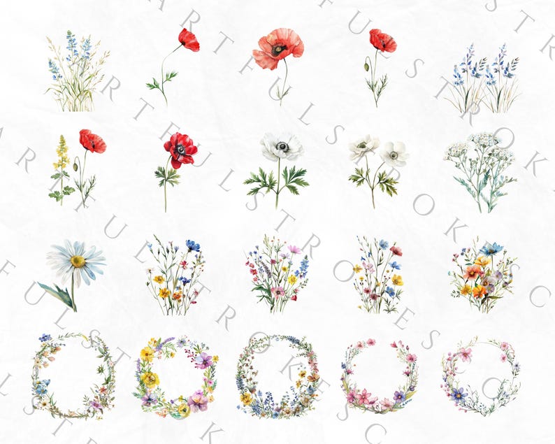 May include: A set of 20 watercolor illustrations featuring various floral arrangements. The illustrations include single flowers, bouquets, and wreaths. The flowers are depicted in shades of red, white, blue, and yellow.