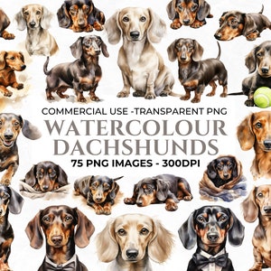 75 Watercolour Miniature Dachshund PNG Clipart, Watercolour Puppy Illustration, Sausage Dog Art, Watercolour Dog Bundle, Commercial Use