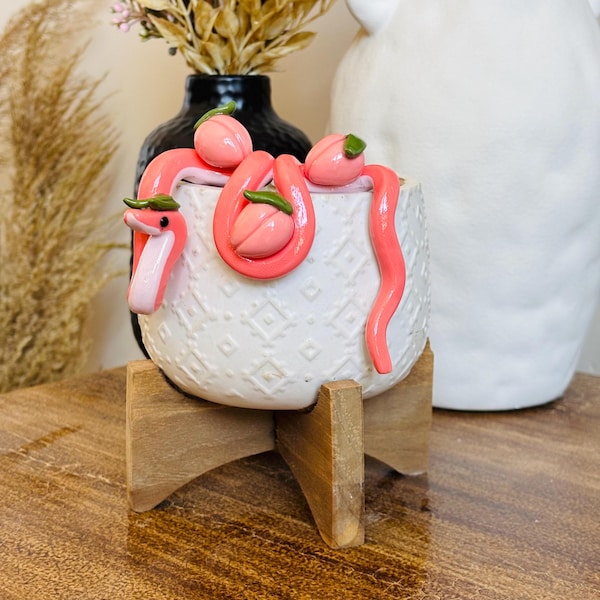 Peach Snake Pot Perch - Plant Pot Decoration