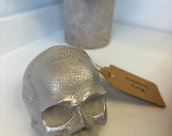 Cement Skull | Concrete | Cement | Minimalist |  Handmade | Terrarium | Tank