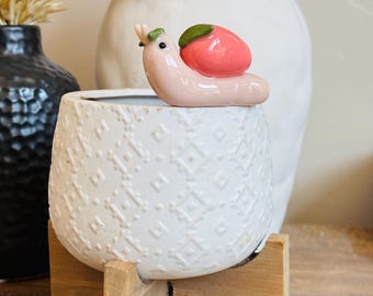 Peach Snail Pot Perch - Plant and Home Decor