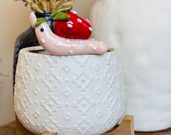 Strawberry Snail Pot Perch - Plant and Home Decor