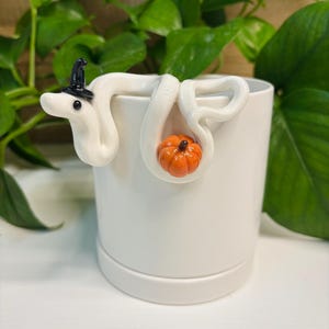 Pumpkin Snake Pot Perch - Plant Pot Decor *Limited Halloween Edition*