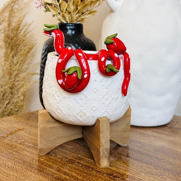 Strawberry Snake Pot Perch - Plant Pot Decoration