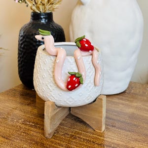 Strawberry Snake Pot Perch - Plant Pot Decoration