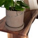 see more listings in the Cement Pots/Creations section