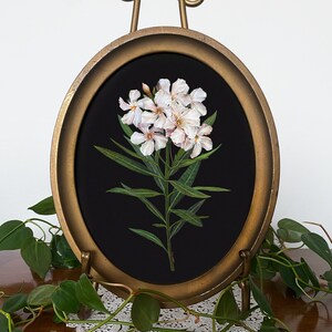 White Oleander Oval Watercolor Art Print