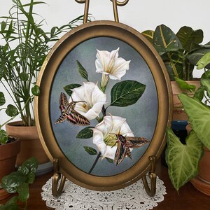 Moonflower with Hawk Moths Oval Watercolor Art Print