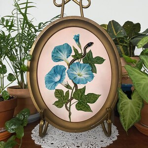 Morning Glory with Garter Snake Oval Watercolor Art Print