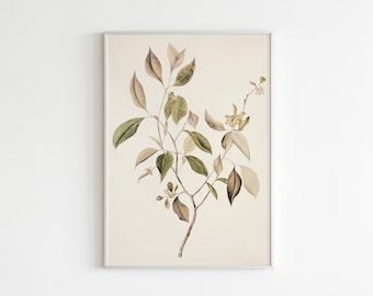 Farmhouse Botanical Wall Art | Vintage Botanical Art Print | Vintage Wall Decor | Printable Art | Downloadable Print DIGITAL DOWNLOAD #322