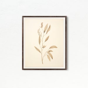 Farmhouse Botanical Wall Art | Vintage Botanical Art Print | Vintage Wall Decor | Printable Art | Downloadable Print DIGITAL DOWNLOAD #323