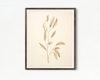 Farmhouse Botanical Wall Art | Vintage Botanical Art Print | Vintage Wall Decor | Printable Art | Downloadable Print DIGITAL DOWNLOAD #323