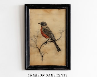 peinture vintage d'oiseau | Impression d'art mural oiseau | Décoration champêtre française | Impression d'oiseau | Art imprimable | Impression téléchargeable TÉLÉCHARGEMENT NUMÉRIQUE #552